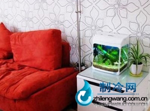魚缸擺放位置