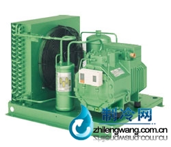 德國(guó)原裝比澤爾制冷機(jī)組