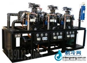 谷輪并聯(lián)制冷機組經(jīng)銷商