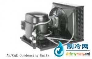 美國泰康風(fēng)冷式冷凝機(jī)組