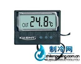 DS-2數(shù)字溫度計(jì)