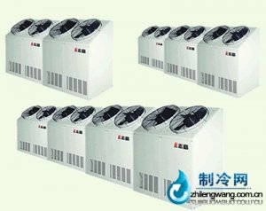 志高直冷式風(fēng)冷立柜系列