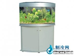 佳寶角形水族箱魚缸R(shí)480