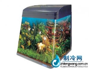 佳寶角形水族箱魚缸R(shí)550