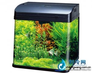 佳寶角形水族箱魚缸R(shí)538