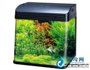 佳寶角形水族箱魚缸R(shí)538-2