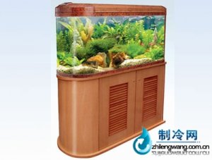 佳寶開放生態(tài)水族箱魚缸R9108