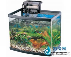 佳寶小型生態(tài)魚缸R38
