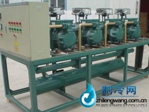 比澤爾并聯(lián)機(jī)組