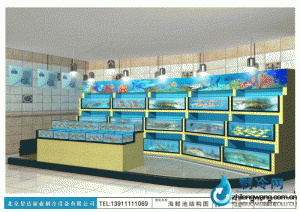  海鮮池魚(yú)缸ldzl132 