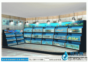 海鮮池魚(yú)缸ldzl133