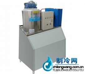  商業(yè)片冰機組 