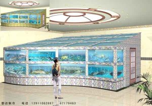 海鮮魚缸 ldzl003